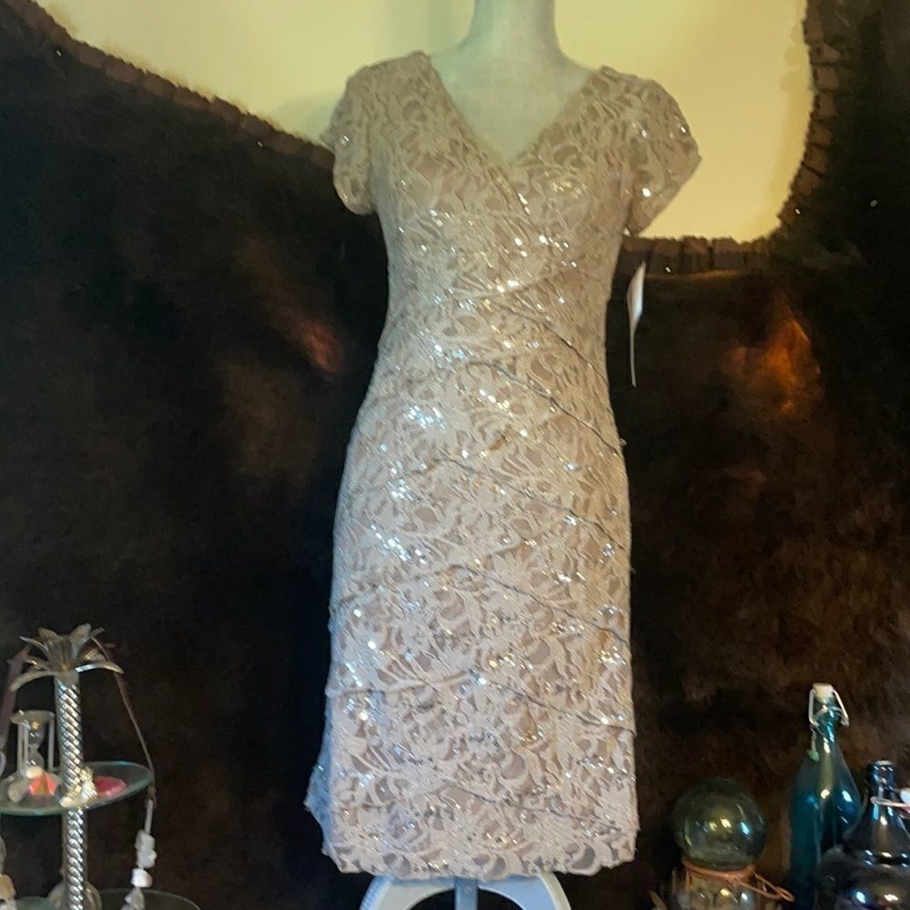 Scarlett Nite by David’s Bridal dress 8 (4573) NWT